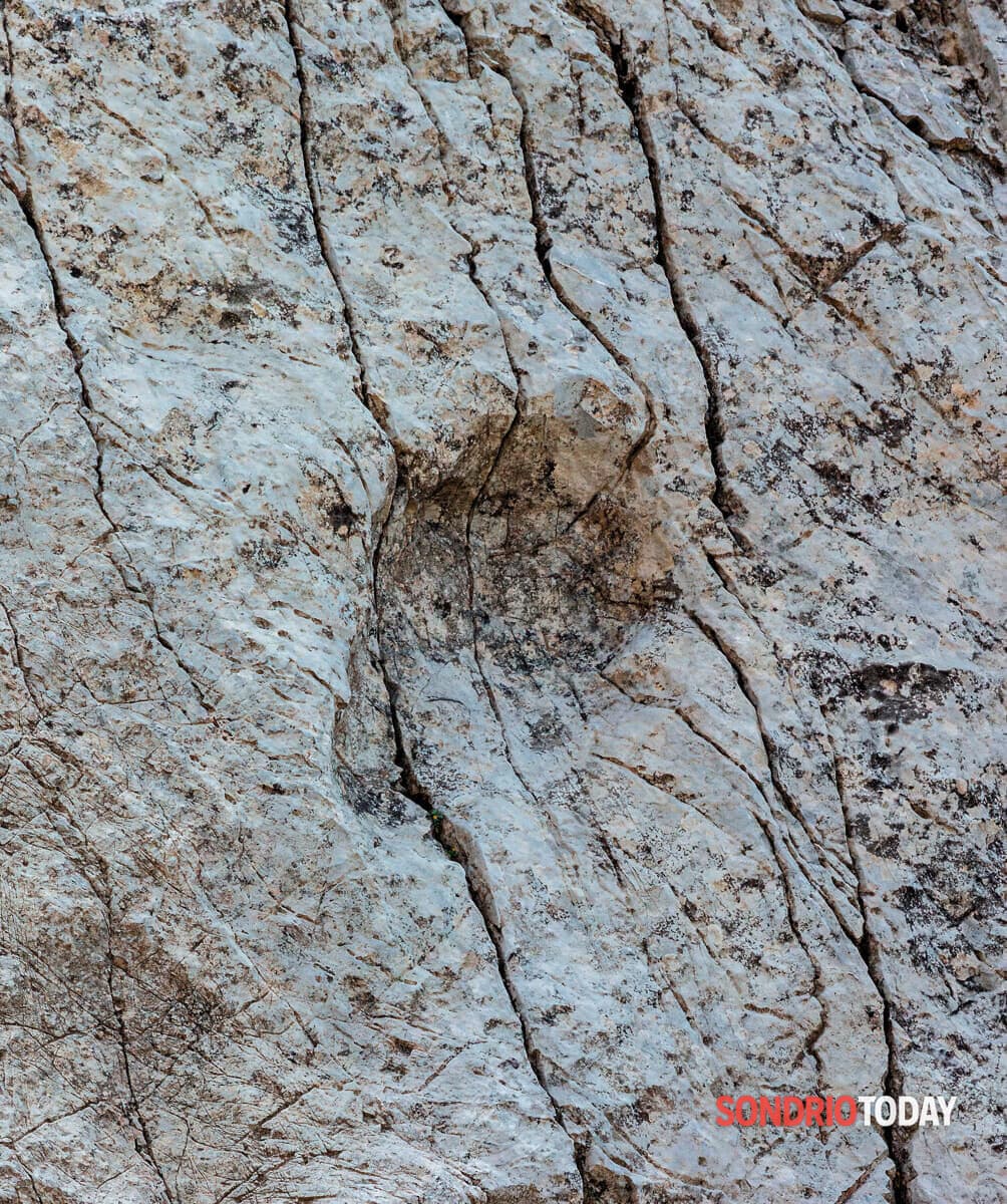 Il comune di Milano investe 58mila euro per mappare le orme dei dinosauri