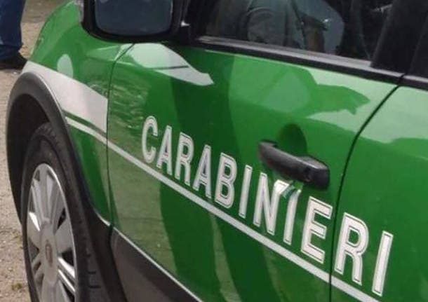 Lombardia - Rifiuti e mezzi rubati in un container diretto in Senegal: dieci persone denunciate tra Milano e Monza - Econews - Varese News
