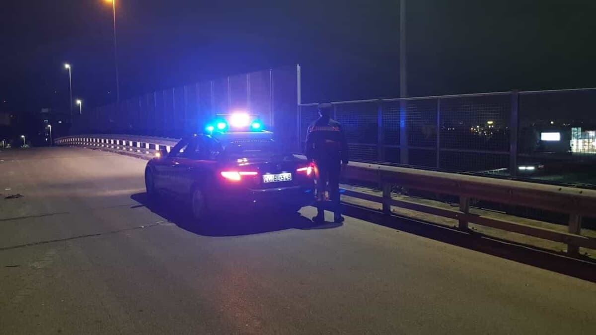 Spaccata nella notte alla logistica: cancelli abbattuti con un furgone e chiodi sull'asfalto per bloccare i carabinieri