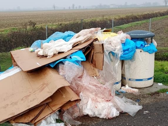Rifiuti speciali abbandonati, oltre 2,6 tonnellate in un anno sulla Milano Serravalle. Anche 600 chili di amianto