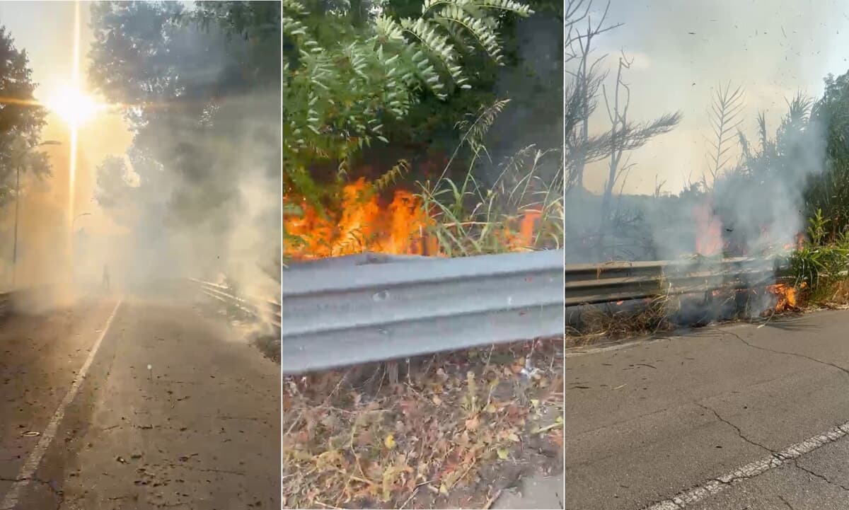 Pomeriggio di fuoco a Ferragosto tra Milano e provincia: tre incendi in contemporanea