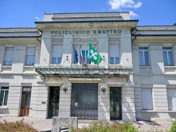 Codevilla, aggredita da un capriolo a cui stava dando il cibo: la veterinaria Giovanna Grassi è in gravi condizioni