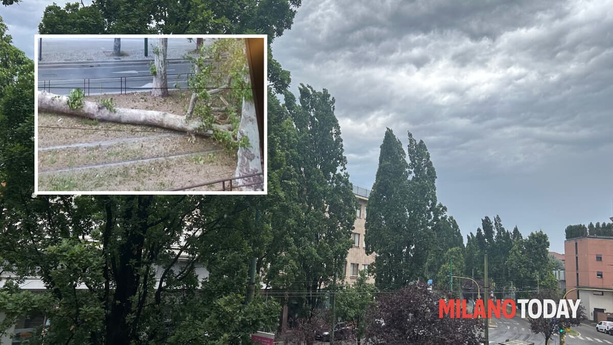 Milano travolta dal maltempo: vento forte, alberi caduti e fiumi sorvegliati. Oltre 240 chiamate ai vigili del fuoco: la situazione