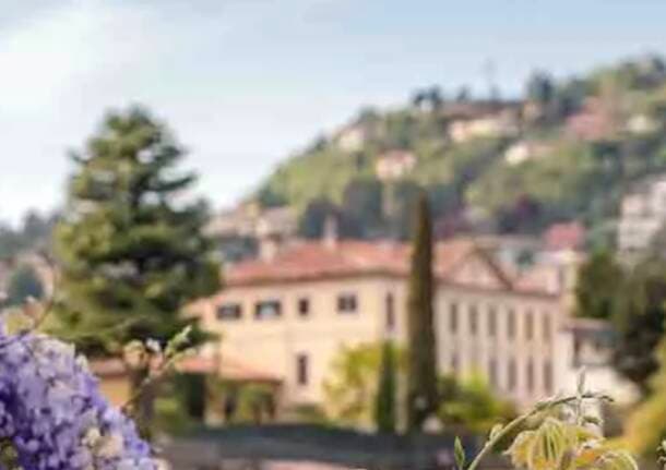 Como - La rassegna “Como… che spettacolo!” accende il weekend: un fine settimana tra musica, danza e spettacolo -  - Varese News