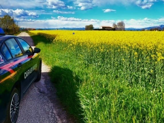 Roverbella, agricoltore 66enne colto da malore nei campi: morto Stefano Vicentini, tra le cause l'ondata di caldo