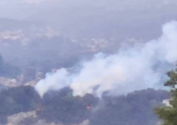 Leggiuno - Incendio nel bosco sopra Cellina di Leggiuno, mobilitati vigili del fuoco e volontari Aib - Varese Laghi - Varese News