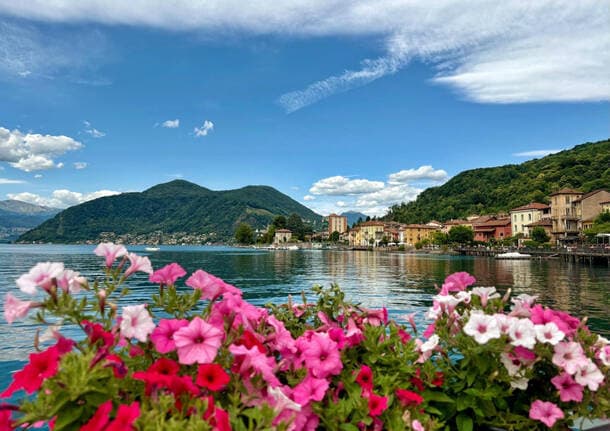 Che fare nel weekend - Che fare a Varese e nel Varesotto il weekend del 19,20 e 21 giugno -  - Varese News
