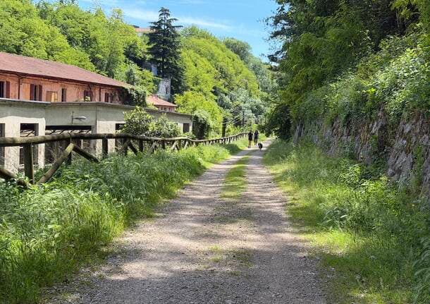 Castronno - Andare al lavoro in bicicletta: una serata per parlare di mobilità sostenibile -  - Varese News