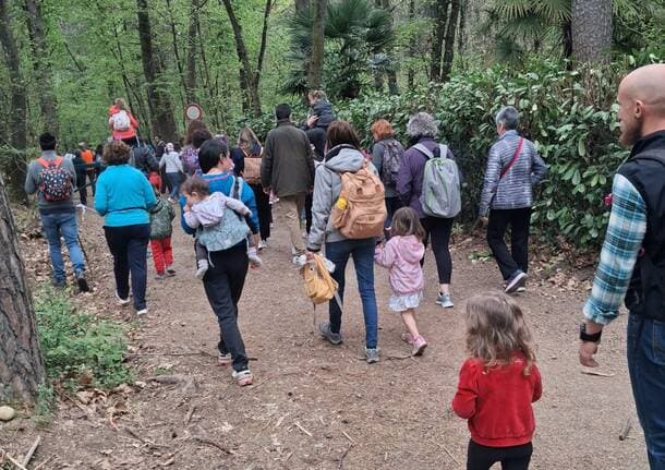Tradate - Una camminata d’autunno nel Parco Pineta di Tradate con l’associazione Donna Oggi - Archivio - Varese News
