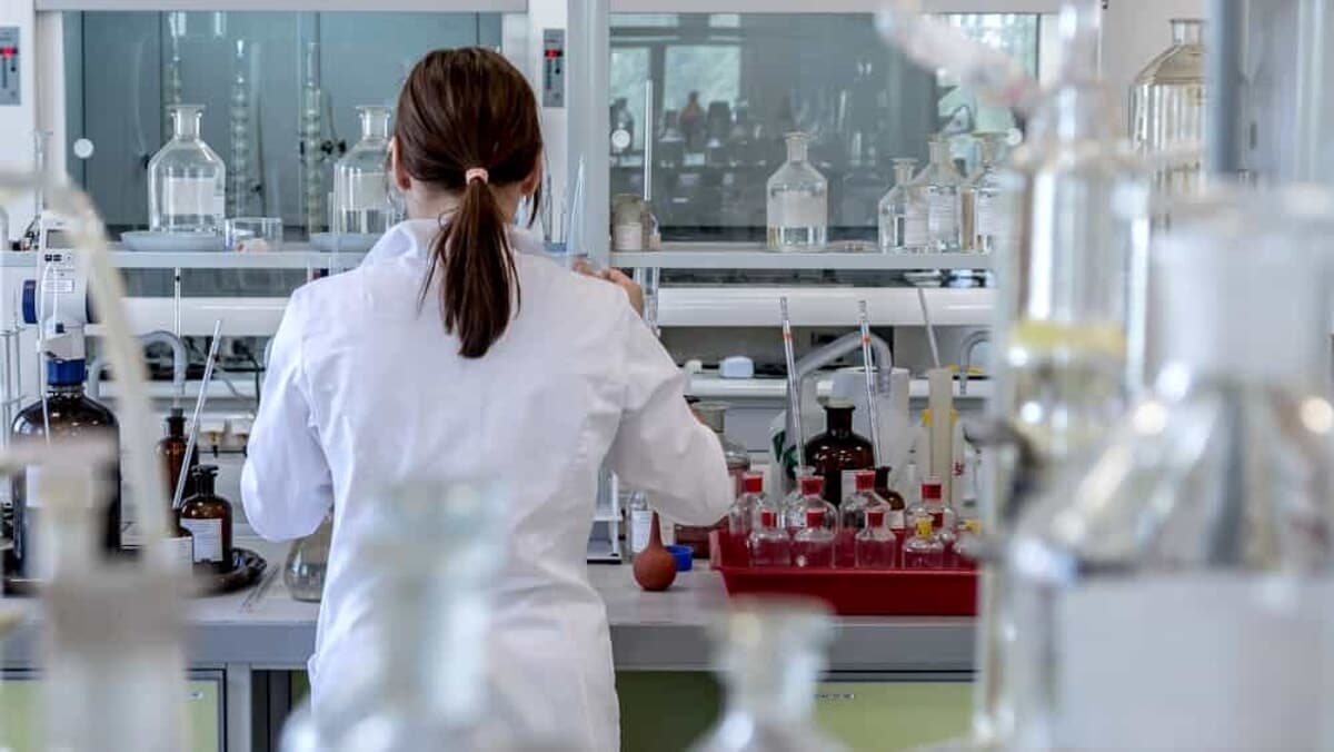 Creatina e tumori, i ricercatori universitari: “Può rafforzare la risposta immunitaria contro il cancro”