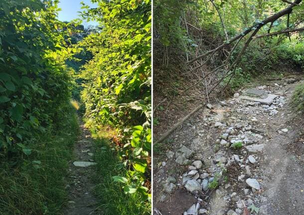 Varese - Non solo strade, si pensi anche alla mobilità dolce a Varese: “Il sentiero Noseda è franato e ha bisogno di interventi” -  - Varese News