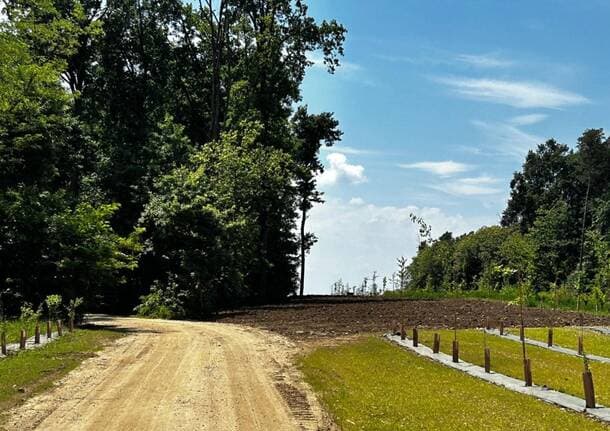 Gallarate - PiùGallarate rilancia sulla ciclabile per Malpensa: “Serve un progetto condiviso per la Città della Malpensa” -  - Varese News