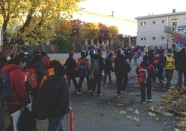 Sesto Calende - Un torneo sportivo per le scuole nel resoconto del Consiglio dei ragazzi a Sesto Calende - Archivio - Varese News