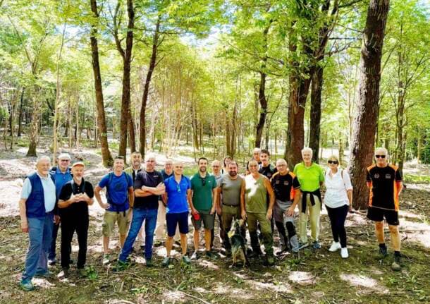 Comerio - Il Comune di Comerio pronto a entrare in ASFO: “La cura dei boschi è una nostra priorità” -  - Varese News