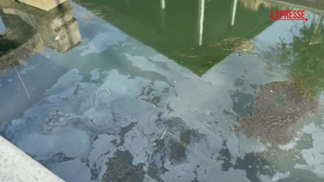 L'enorme chiazza oleosa sversata nel Naviglio grande a Milano, barriere per contenerla
