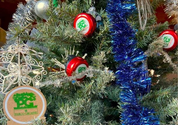 Solaro - Al Parco delle Groane una mattina tra sport e canti per auguri di Natale all’aria aperta - Archivio - Varese News