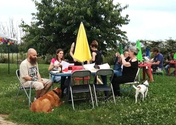 Origgio - Pasta a 4 zampe a Origgio: una cena solidale per aiutare gli animali del rifugio “Lilli e il Vagabondo” - Archivio - Varese News