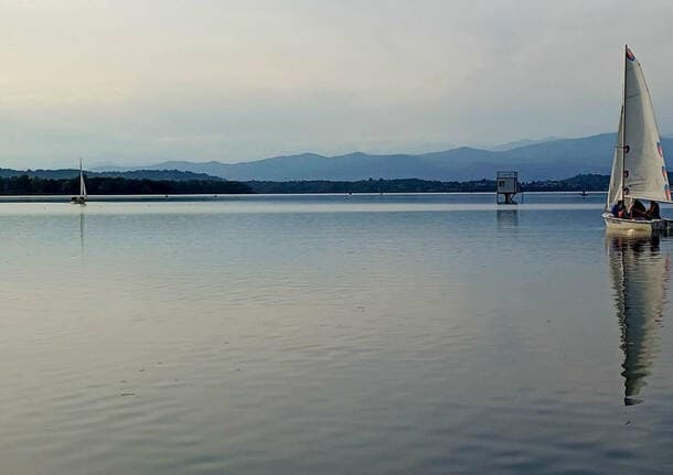 Varese - Lago di Varese, torna la balneazione alla Schiranna: acque “buone” e via ai tuffi dal 26 giugno -  - Varese News