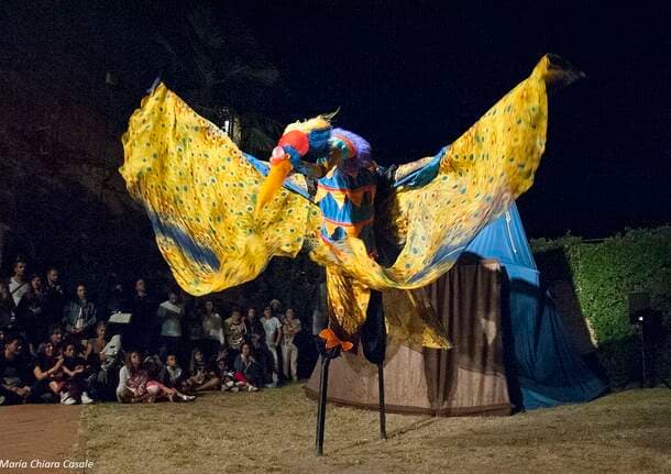 Tempo Libero - Terra e Laghi Festival approda a Lugano: il 10 luglio va in scena la magia del circo -  - Varese News