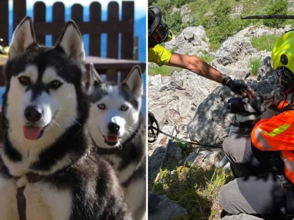 Kaya e Maina, le due husky intrappolate nel canalone ai Piani d'Erna: salvate dai vigili del fuoco con l'elicottero