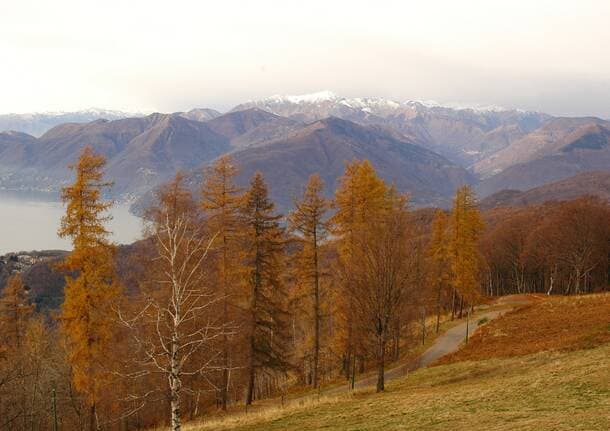 Maccagno con Pino e Veddasca - Una serata a Maccagno per Conoscere la Veddasca, la sua natura e i suoi abitanti -  - Varese News