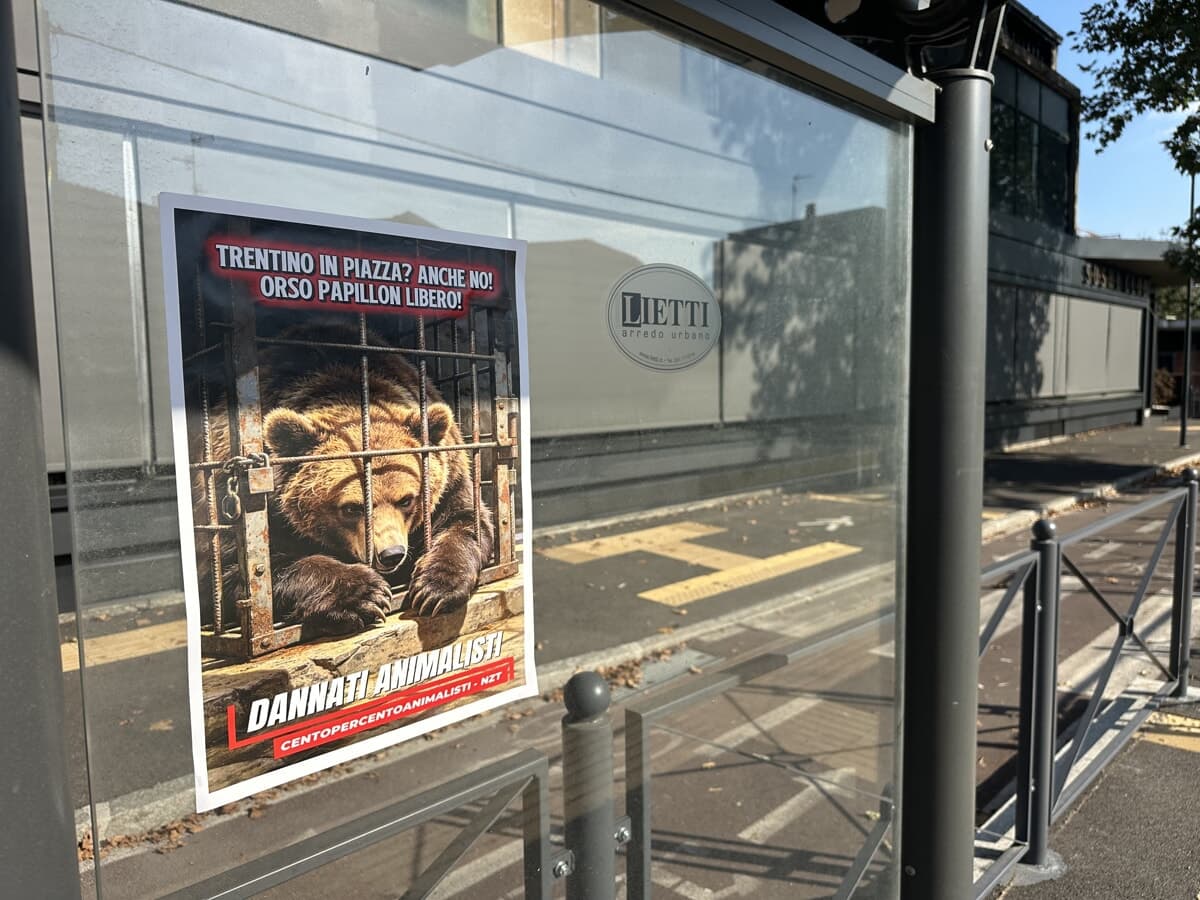 Il villaggio del Trentino arriva in piazza, ma esplode la protesta animalista: "Boicottate l'evento"