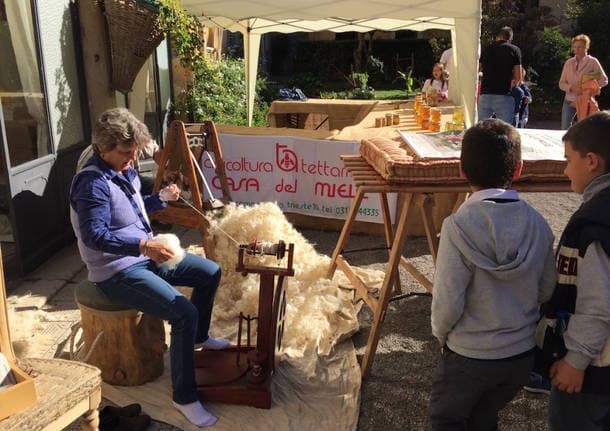 Tradate - Tutto pronto per AgriTradate, una domenica tra rapaci, animali della fattoria e attività agricole - Archivio - Varese News