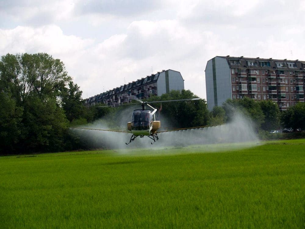 Caso Dengue nel Milanese: al via la disinfestazione straordinaria d'urgenza