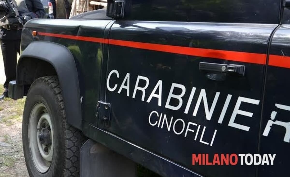 Allarme bomba al processo Hydra a Milano: il cane punta i banchi della difesa, scatta l'evacuazione
