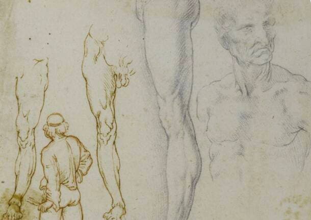 Milano - Al Castello sforzesco di Milano “Passione disegno. Da Leonardo da Vinci a Keith Haring -  - Varese News