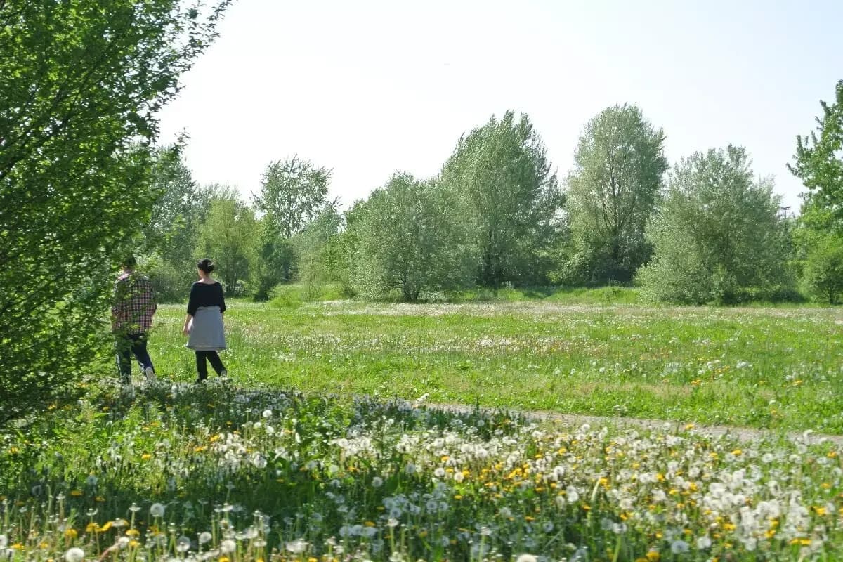 Bonifica da un milione per l'ex Rizzinox: a Milano nasce un nuovo parco