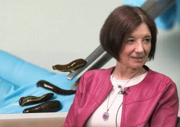 Medicina - L’antica arte terapeutica delle sanguisughe nella medicina moderna. Se ne parla a Radio Missione -  - Varese News