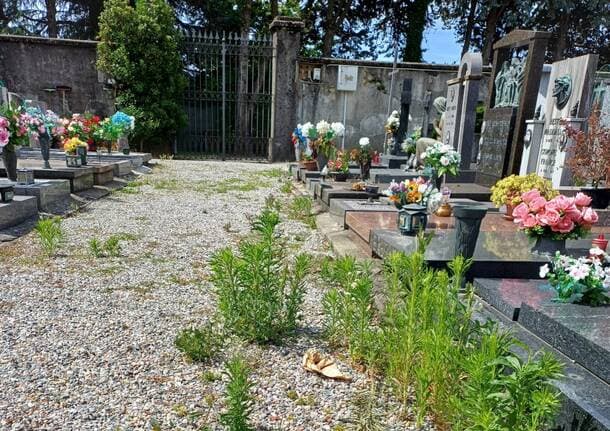 Sumirago - “Erbacce tra le tombe, al cimitero di Menzago serve un intervento” - Varese Laghi - Varese News