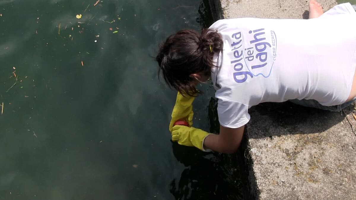 "Piogge in Lombardia, la svolta per i grandi laghi: cosa cambia per l'acqua e l'agricoltura"