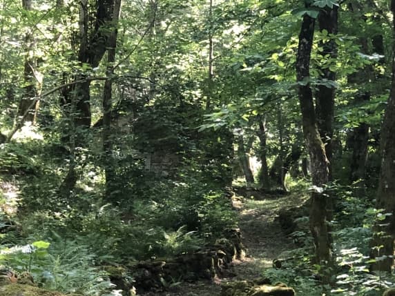 Mantova, sei scout si perdono sull'Appennino modenese. Localizzati grazie al segnale del telefono e recuperati con le funi dall'elicottero