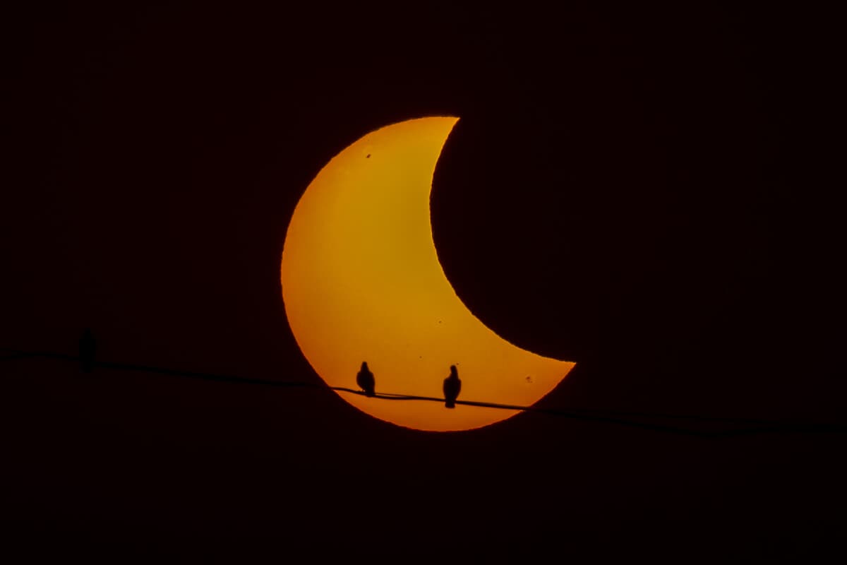 Oggi il tramonto a Milano sarà diverso: quando vedere l’eclissi e perché gli occhiali da sole non bastano