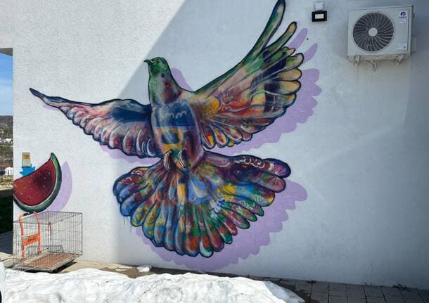 Cardano al Campo - Al circolo Quarto Stato una cena solidale per la casa di accoglienza dei minori della rotta balcanica -  - Varese News