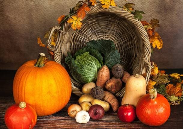 Sesto Calende - Frutti d’Autunno a Sesto Calende: tradizioni e sapori per riscoprire l’Abbazia - Archivio - Varese News